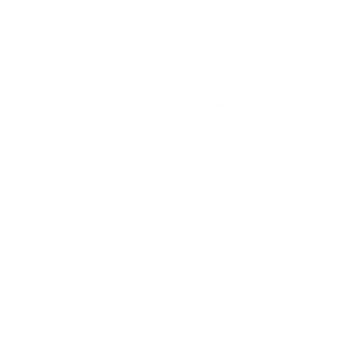 Catch22 Reflection Portal